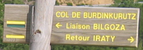 Col de Burdincurutcheta